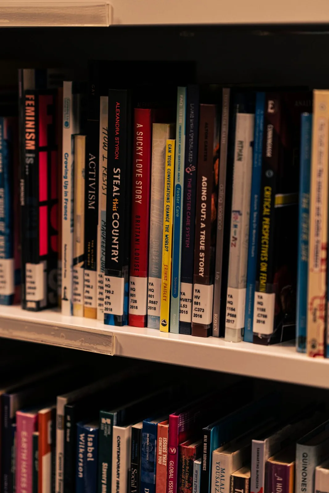 Vertical shot of various books stacked on a library shelf.