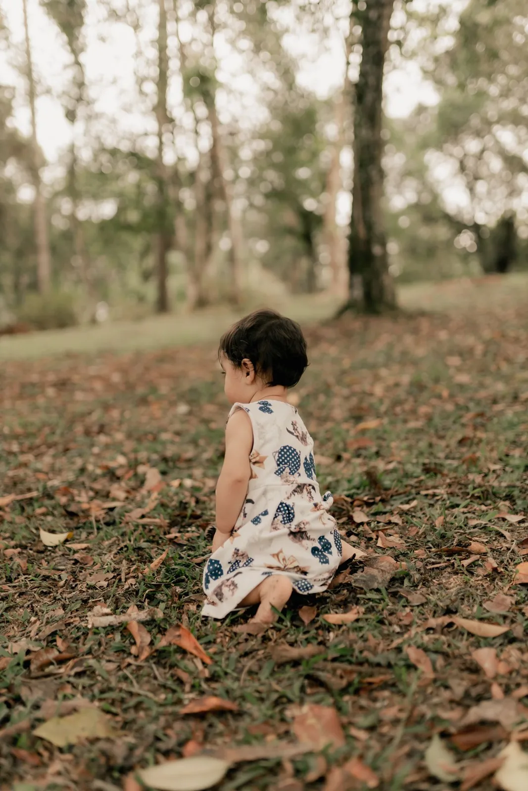 A child exploring a woodland floor covered in autumn leaves.